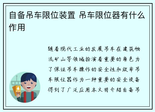 自备吊车限位装置 吊车限位器有什么作用